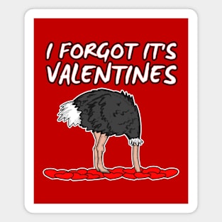 I Forgot It’s Valentines Ostrich Singles Funny 2022 Magnet